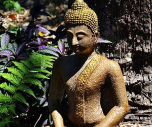 Số phận do tâm hay tướng quyết định?
