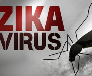 Bộ Y tế khuyến cáo "không phải cứ mang thai bị Zika là sinh con đầu nhỏ"
