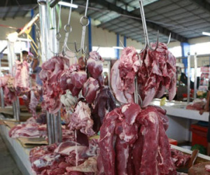 Dùng chất cấm trong chăn nuôi: Có thể bị tù chung thân