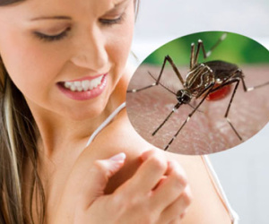 Phụ nữ chưa có thai nhiễm Zika ảnh hưởng thế nào đến đường con cái