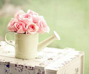 Thứ năm của bạn
