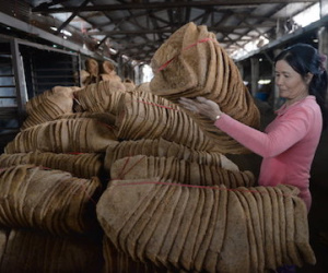 Chống đôla hóa: doanh nghiệp kêu khó, ngân hàng nói không