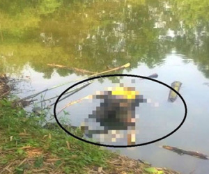 Thi thể người đàn ông nổi trên sông sau 3 ngày mất tích
