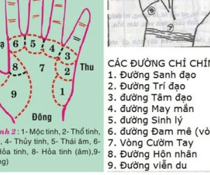Nếu có dấu hiệu này trong lòng bàn tay, bạn sẽ cực kỳ giàu có và thành đạt