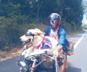 Chuyến du lịch của chú cún và chủ: Bạn gái không có, nhưng chó nhất định phải có một con!