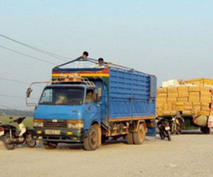 Đề nghị truy tố 71 cán bộ, công chức Hải quan An Giang