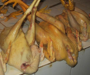 Phụ nữ rụng tóc, mọc râu khi bị ngộ độc thức ăn có chất cấm