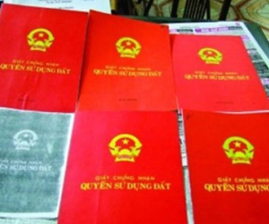 44% phải "lót tay" khi làm sổ đỏ