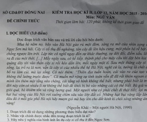 Giật mình đề thi môn văn đưa tỉnh Bình Thuận, Ninh Thuận xuống ĐBSCL