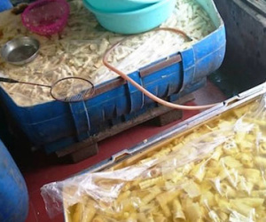 Kinh hãi thấy giòi bò lúc nhúc trong măng tươi ngâm