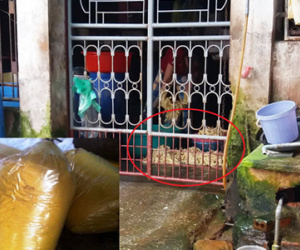 Hãi hùng cảnh làm măng có giòi trên nền ximăng bẩn thỉu