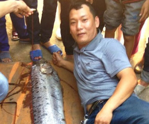 Người dân đổ xô đến xem "thủy quái" dài gần 4m còn sống ở Nghệ An