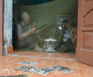 Ruồi nhặng đen đặc phát hãi, ăn cơm cũng... mắc màn