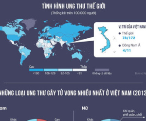 Việt Nam đứng hàng đầu thế giới về số người chết vì ung thư?