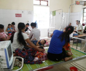 Ong rừng tấn công, 17 học sinh mầm non phải nhập viện khẩn cấp