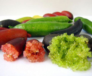 Chanh ngón tay 3,5 triệu/kg: Đắt gấp 100 lần vẫn săn mua