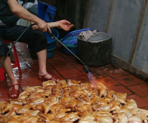 Hà Nội: Bán thực phẩm bẩn sẽ bị “bêu tên” trên loa phường