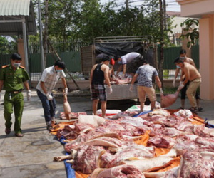 Hơn một tấn thịt nghi có chất tạo nạc bán cho người nghèo