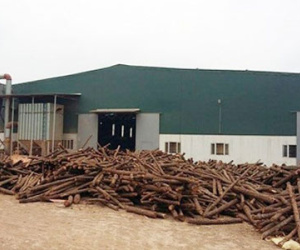 Tạm đình chỉ, kiểm tra toàn diện công ty xảy ra vụ nổ làm 11 người bị bỏng