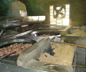 Hàng tấn mỡ bẩn chế biến gần nhà vệ sinh ở Đà Nẵng "trôi" về đâu?