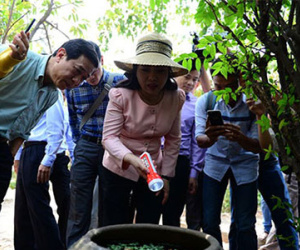Ngày mai TP HCM công bố hết dịch Zika