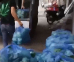 Clip: Đường đi của rau "bẩn" gắn mác rau an toàn vào siêu thị