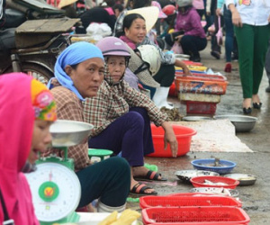 Tiểu thương miền Trung rầu rĩ ngồi nhìn cá ế