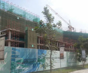 Dân chết vì “chim mồi" 30.000 tỷ