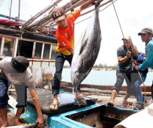 Việt Nam xuất khẩu lao động đánh cá và xây dựng sang Thái Lan