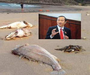 Dân mời Phó Chủ tịch Hà Tĩnh "xơi" cá, tắm biển Vũng Áng