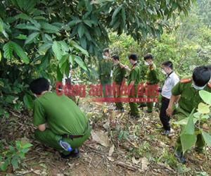 Phát hiện xác người phụ nữ bị trói tay trong rừng