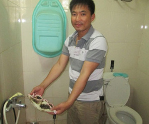 Hà Nội: Lại một chung cư có nước sạch "sạch" như... nước cống!