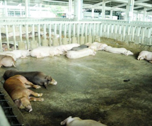 Ảnh bìa bài viết 358231
