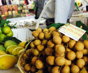 Bộ trưởng Nông nghiệp Mỹ: Xoài, vú sữa Việt Nam sắp được nhập vào Mỹ