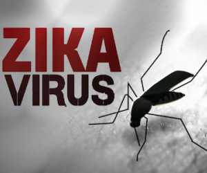 Bà bầu mắc Zika tại TP HCM đã bỏ thai