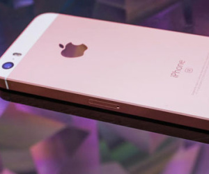 iPhone SE chính hãng giá 11,6 triệu đồng