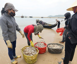 Ngư dân Hà Tĩnh ra khơi đánh cá