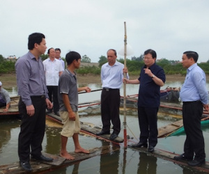 Vụ cá chết: Xử nghiêm không loại trừ ai nếu vi phạm