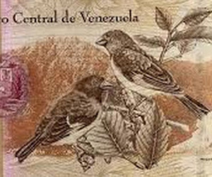Lạm phát 500%, Venezuela thậm chí không có tiền để in thêm tiền