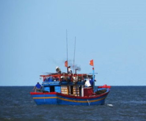 Cấp chứng nhận an toàn cho cá đánh bắt xa bờ