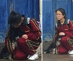 Hình ảnh cô gái dừng lại bên đường che mưa cho chú chó lang thang khiến nhiều người cảm động