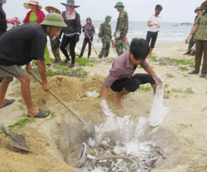 Vụ cá chết bất thường: Bốn bộ công bố kết quả kiểm tra