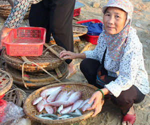 Hàm lượng kim loại nặng trong cá biển tại Hà Tĩnh ở ngưỡng cho phép