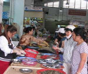 Đà Nẵng: Người dân háo hức đi mua cá sạch từ sáng sớm