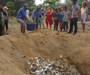 “Nhảy slow” quanh thảm họa