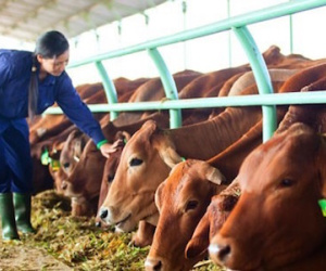 3 tháng, nợ công ty bầu Đức tăng thêm 1.500 tỷ đồng