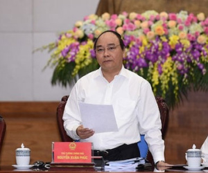 Chính phủ nghe báo cáo về sự cố cá chết hàng loạt
