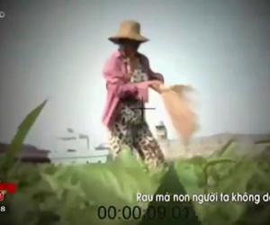 Clip: Dùng chổi quét cho rau rách như sâu ăn để... dễ bán