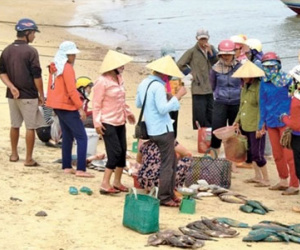 Thêm một số khu vực ven biển có hiện tượng cá chết cục bộ