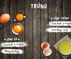 Thời hạn và cách bảo quản trứng, sữa tránh hình thành độc tố